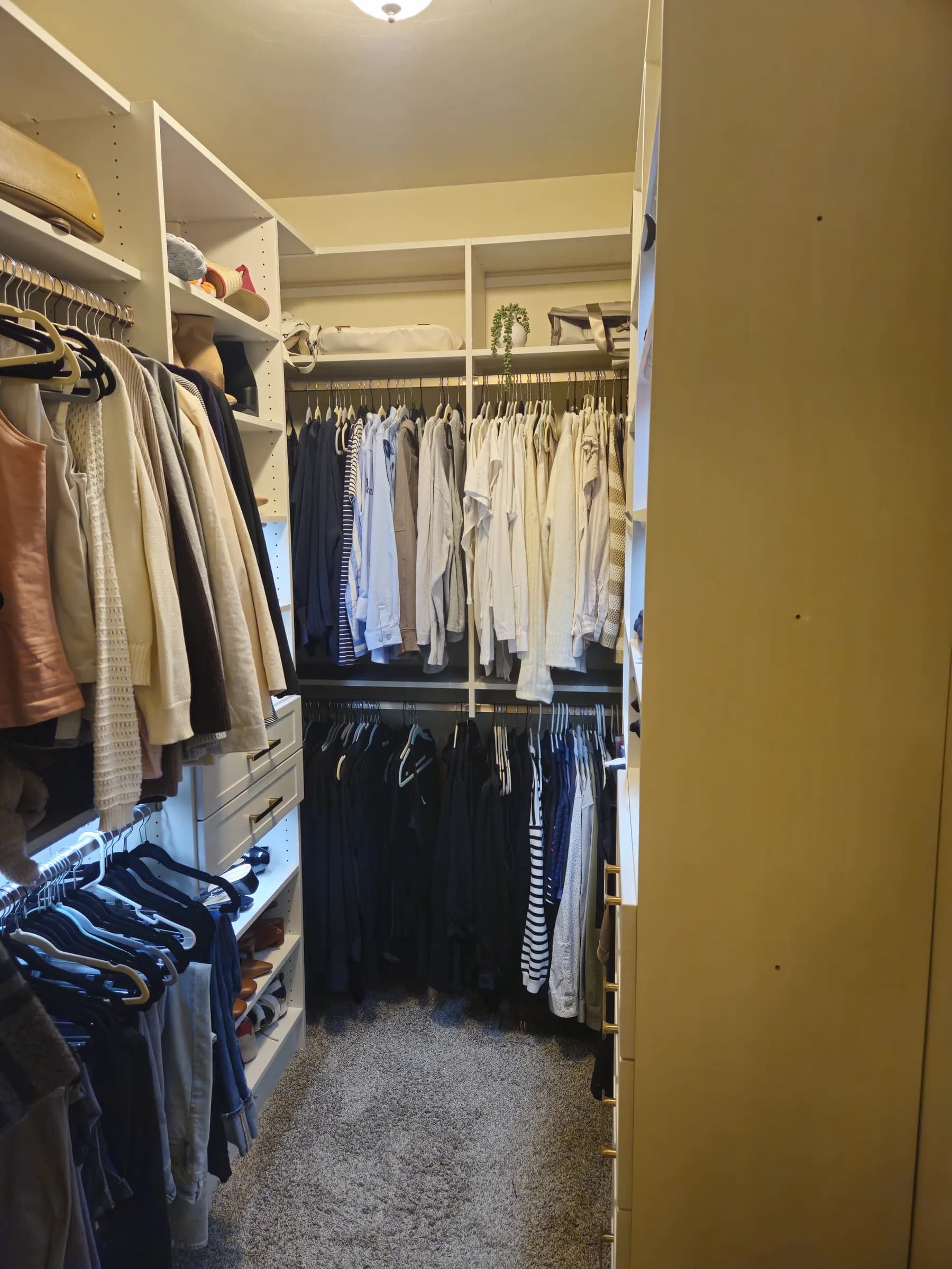 A walk-in closet in a dark finish