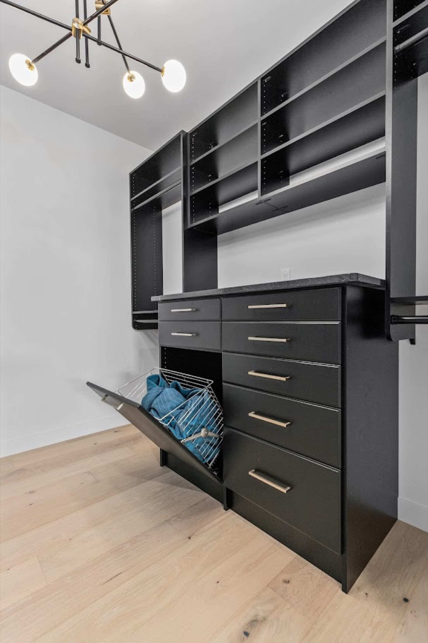 Walk-In Closet Portfolio: Matte Black Closet with Tilt-Out Hamper