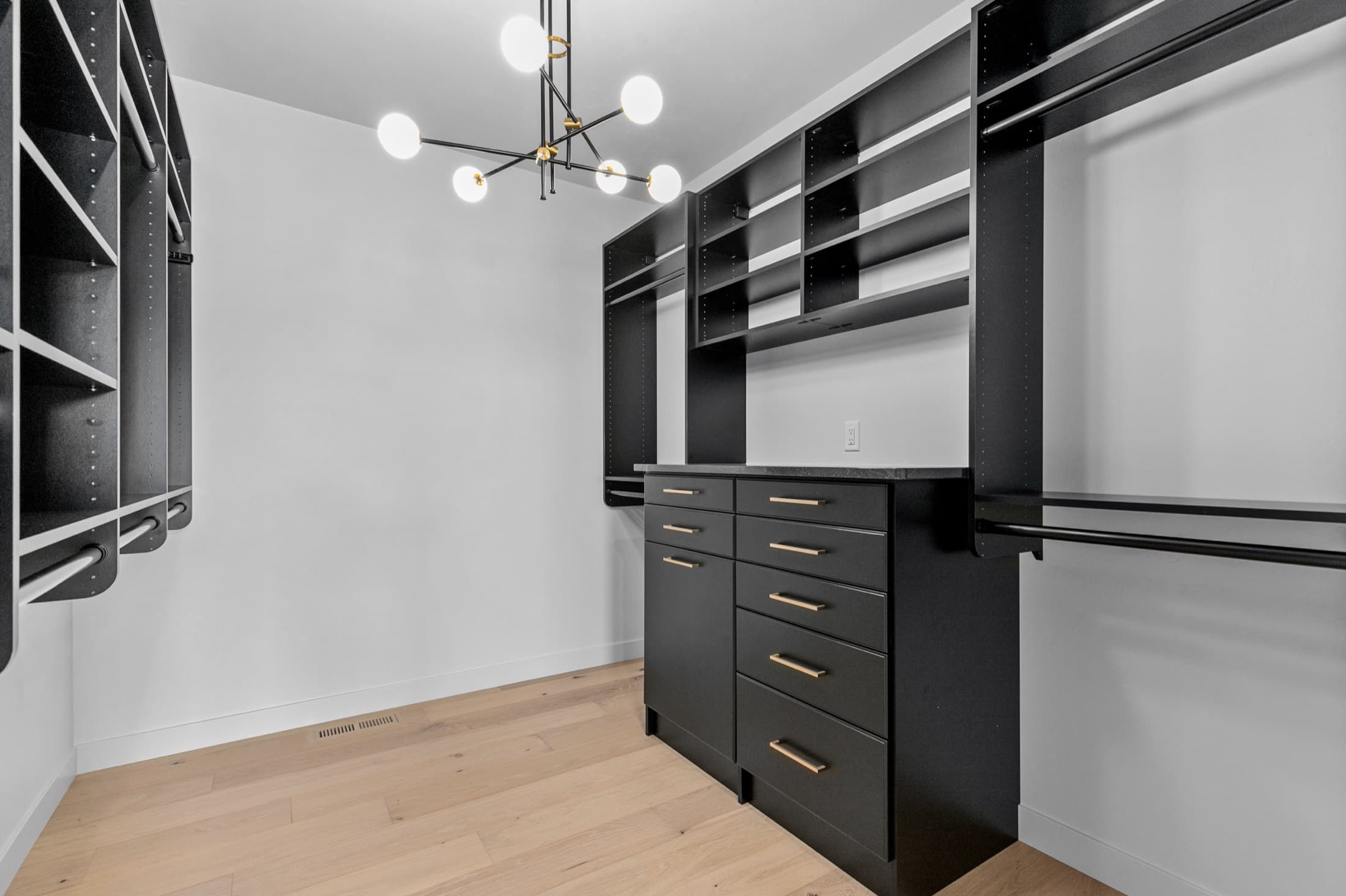 Walk-In Closet Portfolio: Modern Black-and-White Statement Closet